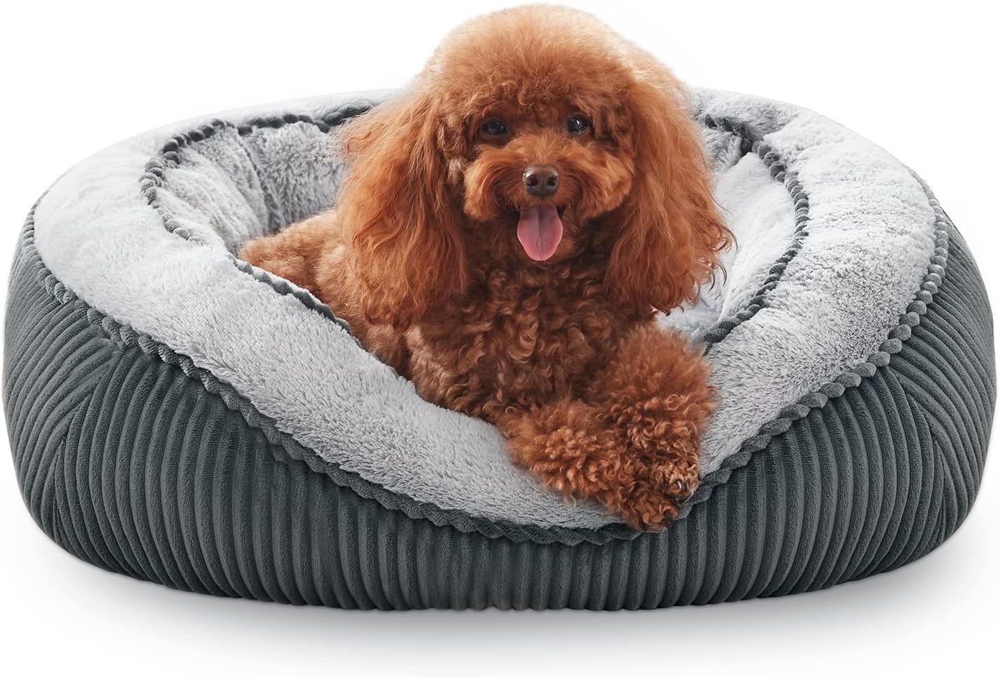 Luxury Orthopedic Dog Bed for Small Medium Large Dogs & Cats