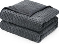 Weighted Blanket Twin 15 lb Minky Dot - Soothing Pressure for Sleep