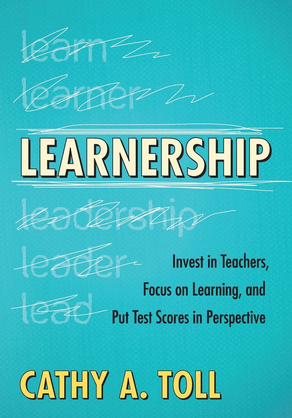 Learnership: Invest in Teachers and Focus on Learning Outcomes