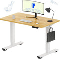 FLEXISPOT EN1 Whole-Piece Standing Desk 40 x 24 in - Smooth Electric