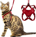Houdini Escape Proof Cat Harness and Leash Set - Secure Walks