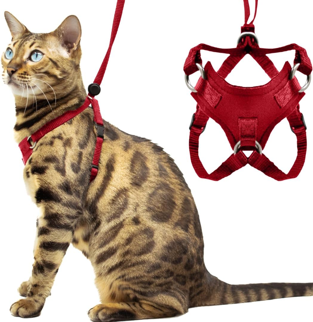 Houdini Escape Proof Cat Harness and Leash Set for Medium Cats