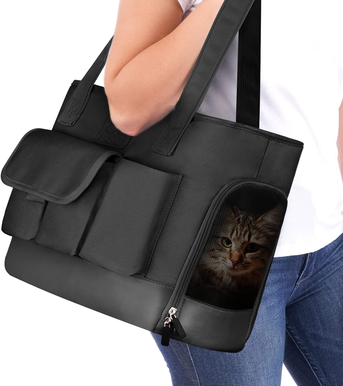 Foldable Waterproof Pet Carrier for Small Dogs and Cats