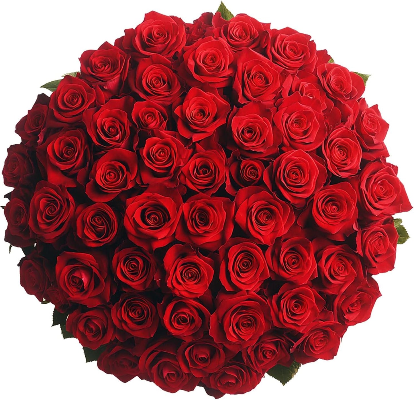Fresh Cut Red Roses Bouquet - 150 Beautiful Long Stem Flowers