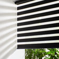 Persilux Cordless Zebra Roller Window Shades 32in x 72in - Day & Night