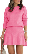 Womens Knit 2 Piece Sweater Skirt Set - Pleated Mini Outfit