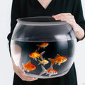 Geelin 5 Gallon Plastic Fish Tank Large Round Bowl - Shatterproof