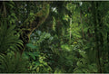 10x8ft Jungle Forest Photography Backdrop for Outdoorsy Camping Theme