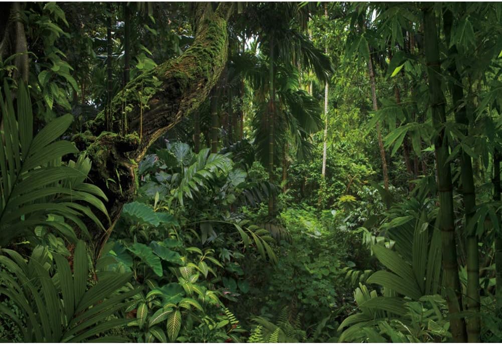 10x8ft Jungle Forest Photography Backdrop for Stunning Events