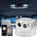 Dual Port 16W Twinkle RGBW Fiber Optic Star Ceiling Kit - 900pcs