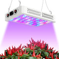 1000w LED Grow Light for Indoor Plants - Full Spectrum