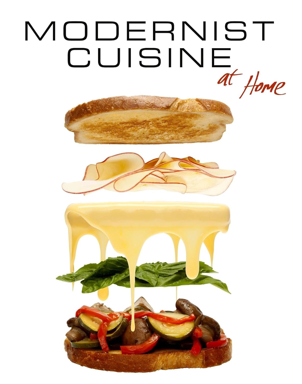 Modernist Cuisine at Home: A Culinary Revolution for Foodies