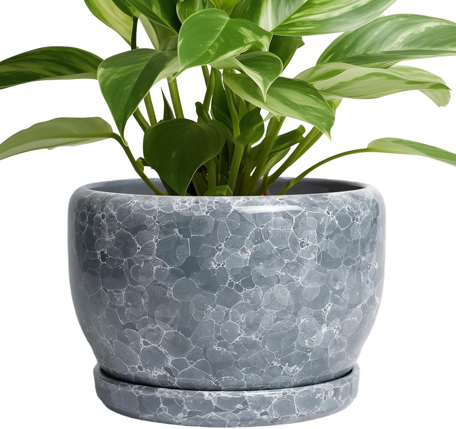 SQOWL 8 Inch Plant Pots Indoor - Modern Ceramic Planter with Saucer