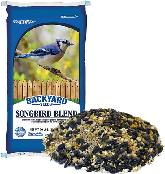 Premium Backyard Seeds Songbird Blend for Colorful Birds