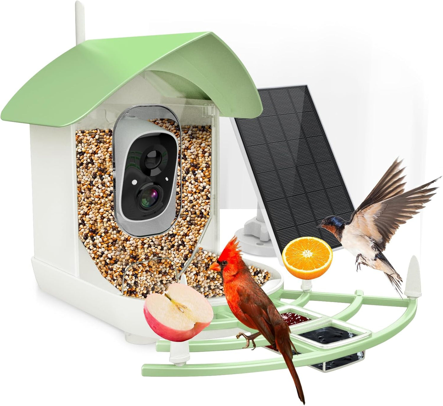 Smart Bird Feeder with Camera for Bird Watching and Recognition