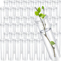 Floral Water Tubes 60ml for Milkweed Cuttings - 4.3 in Clear Pack