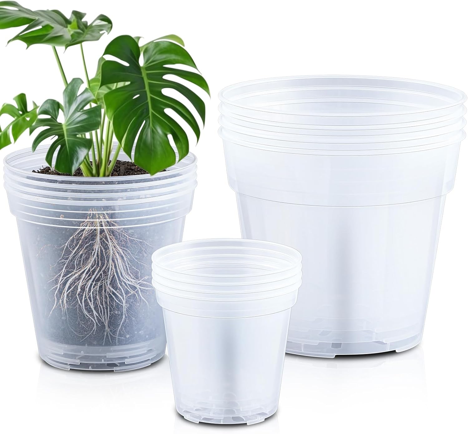 Vesici 12 Pcs Clear Nursery Pots for Indoor Plants and Succulents