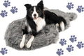 PupRug Orthopedic Dog Bed for Large Dogs - Memory Foam Relief