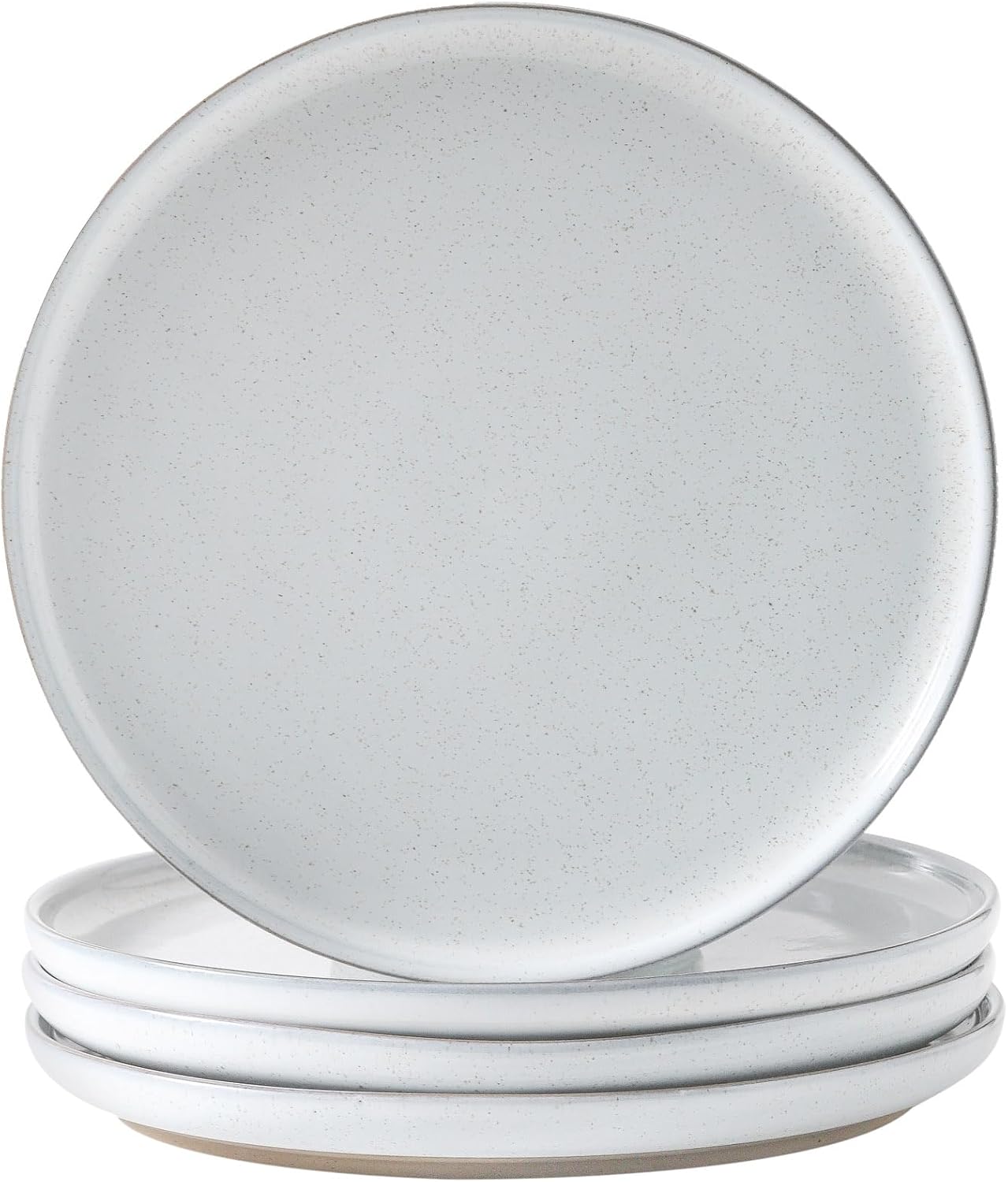 Set of 4 Scratch-Resistant Dinner Plates for Versatile Dining