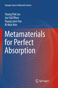 Metamaterials for Perfect Absorption - Comprehensive Technical