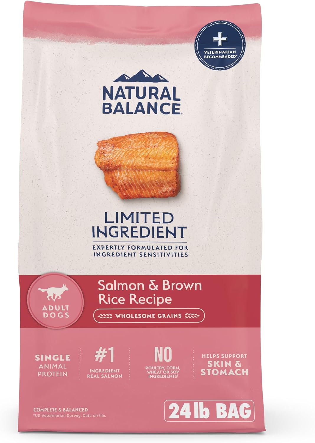 Natural Balance Salmon & Brown Rice Dry Dog Food for Healthy Pets
