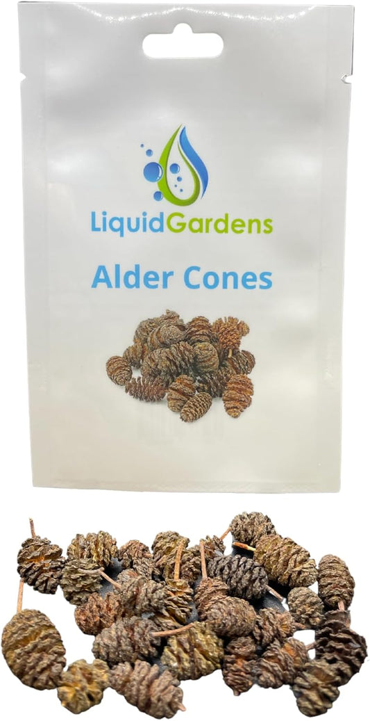 25pcs Alder Cones: Premium Shrimp Water Conditioner