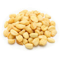 Garlic Chips Sea-Salted Bulk Pouch - 3.5 LBS NUTS U.S