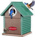 Bluebird Recycled Plastic Bird House Green - Weatherproof Nesting Box