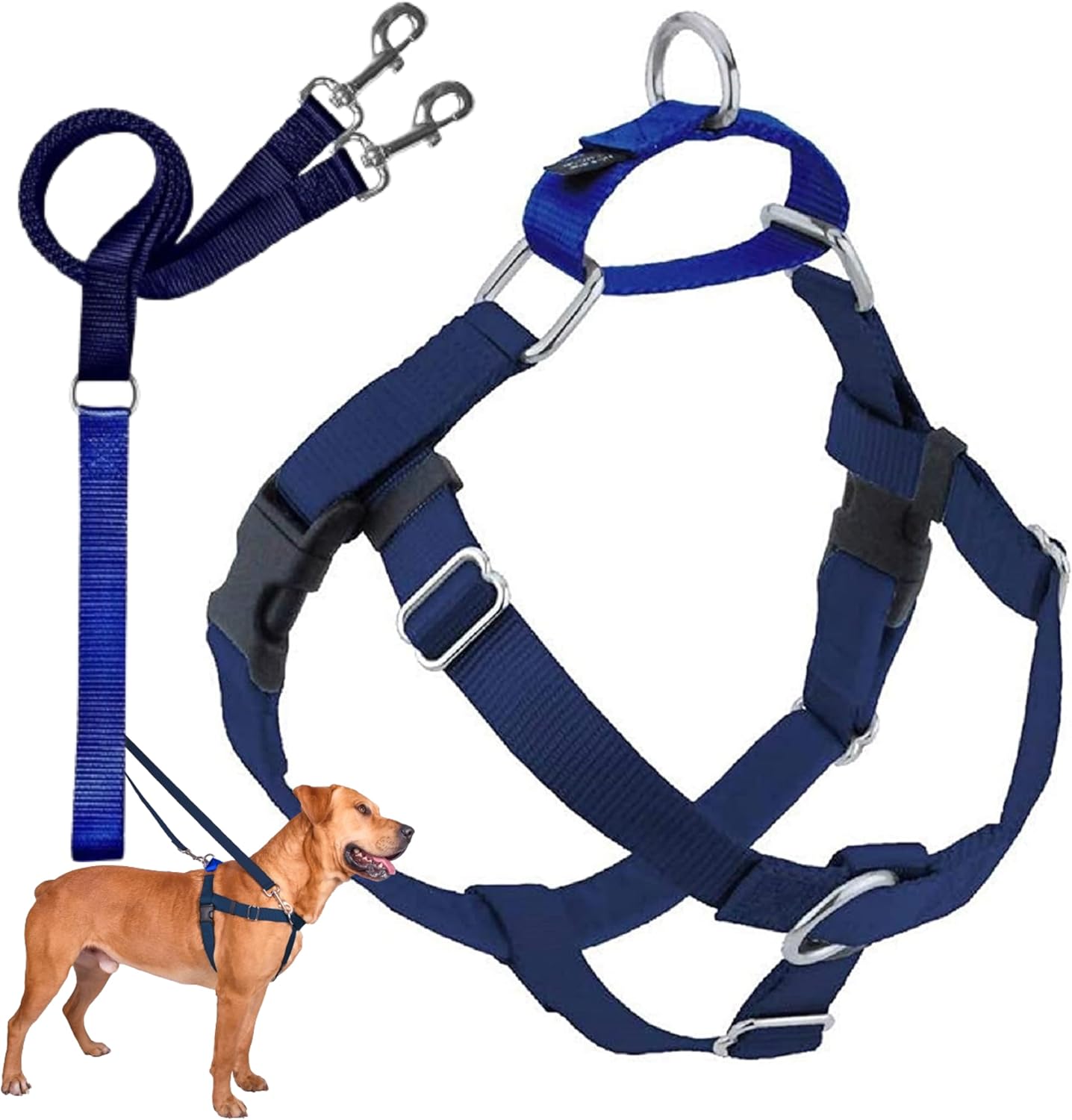 Freedom No Pull Dog Harness for Easy Walking and Control