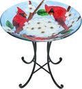Outdoor Glass Birdbath with Metal Stand - Decorative 18 in Cardinal