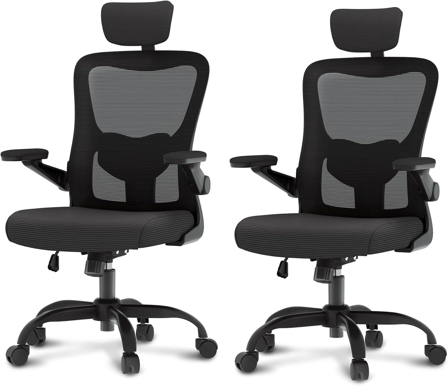 FlexiSpot Ergonomic Mesh Office Chairs Duo