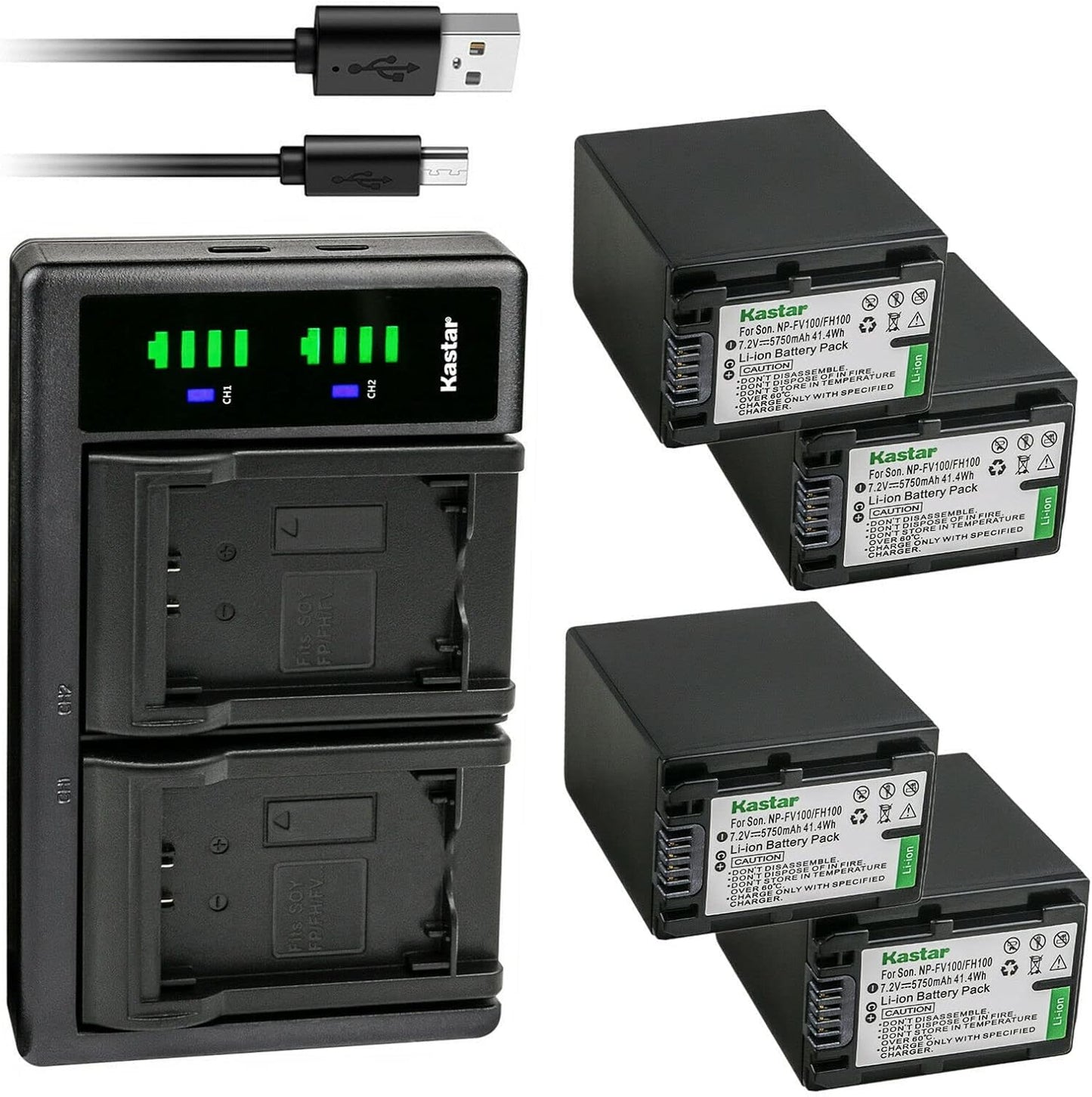 Kastar 4-Pack NP-FV100 Battery and USB Charger for Sony Cameras