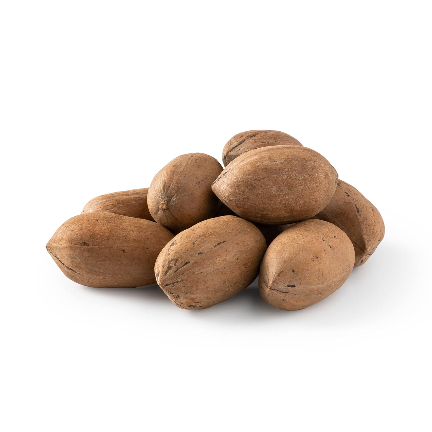 Pecans In Shell - Whole, Raw, Unsalted for Fresh Taste