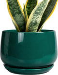 Ceramic Planter 7 in Round Pot with Drainage - Modern Indoor Decor