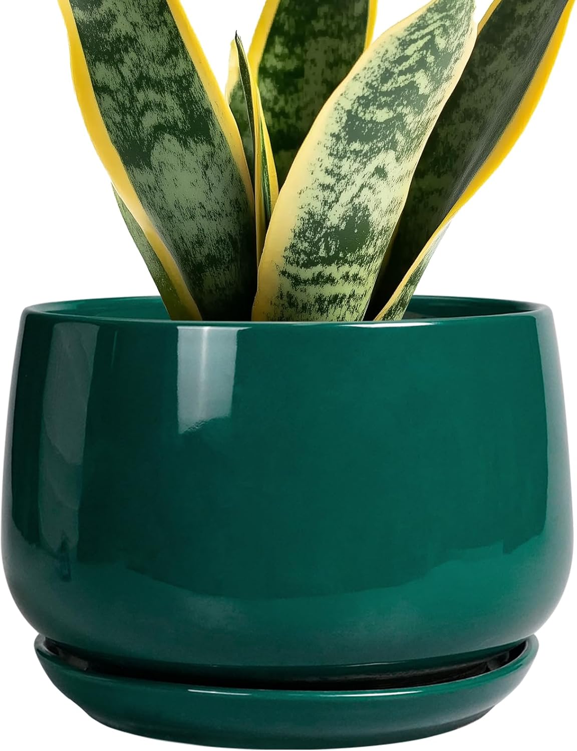 G EPGardening 7 Inch Ceramic Planter with Drainage for Indoor Use