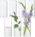 7Pcs Glass Cylinder Vase for Centerpieces Clear Glass Flower Vases