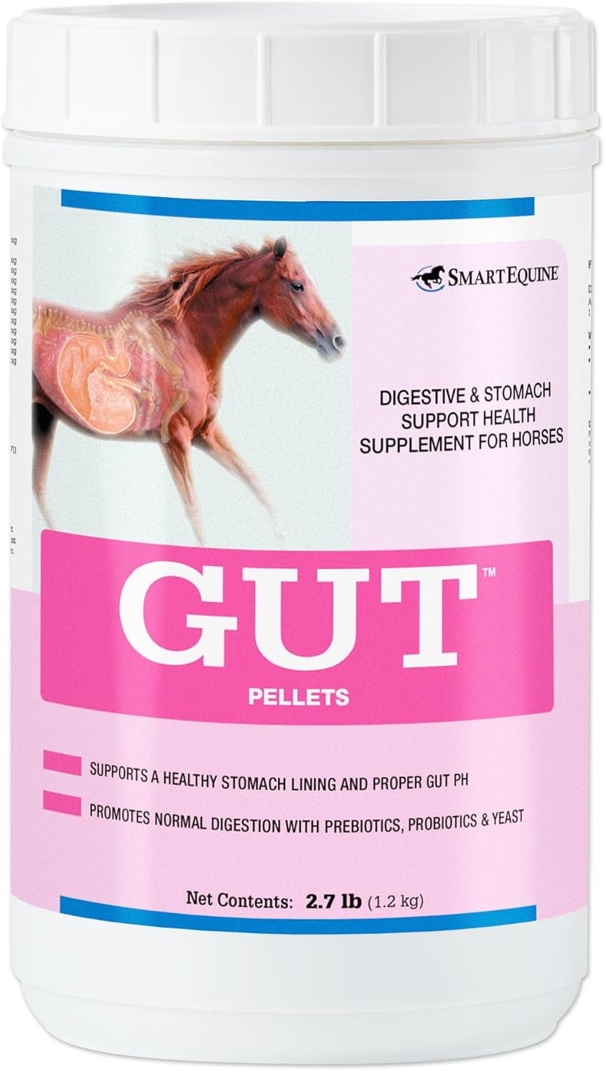 Gut Pellets for Horses | Probiotics & Prebiotics for Health