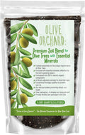 Organic Olive Tree Potting Mix - Fast-Draining Nutrient Soil