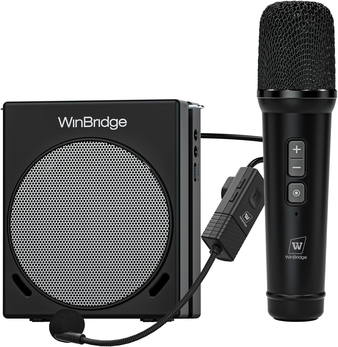 WinBridge 30W Voice Amplifier with Bluetooth for Clear Sound