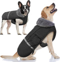 Doglay Dog Coat Waterproof Puppy Winter Jacket - Warm Fleece Lining