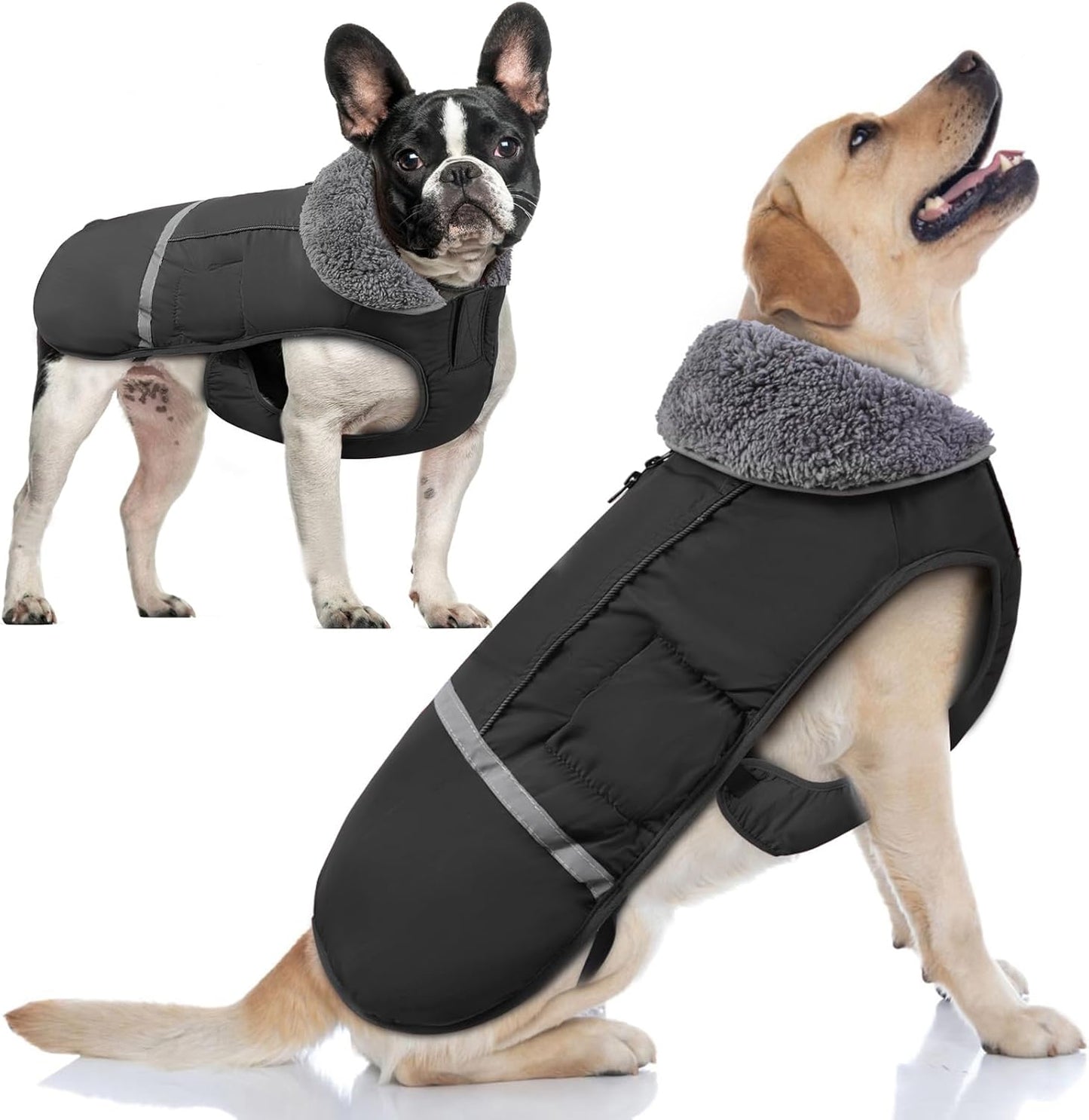 Doglay Dog Coat Waterproof Jacket for Cold Weather Protection