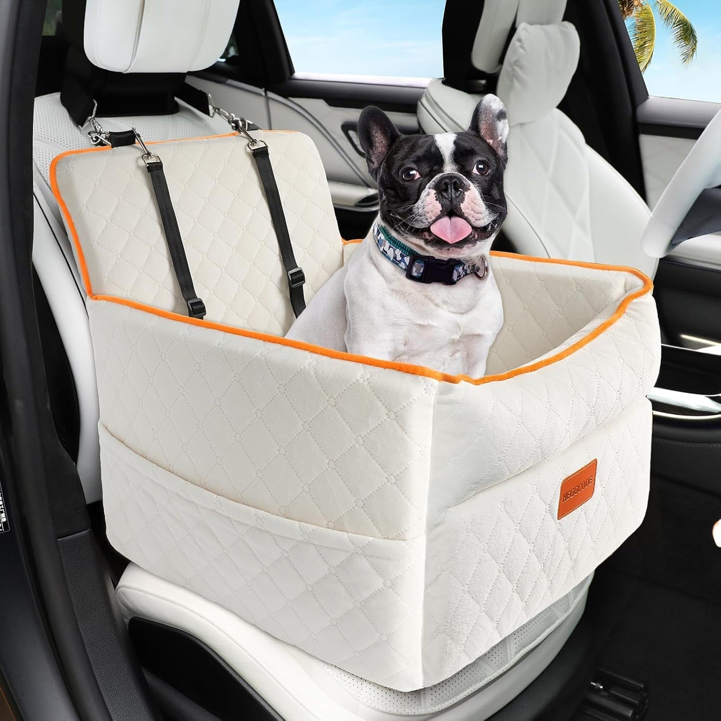 Elevated Dog Car Seat for Small Medium Dogs with Safety Belts