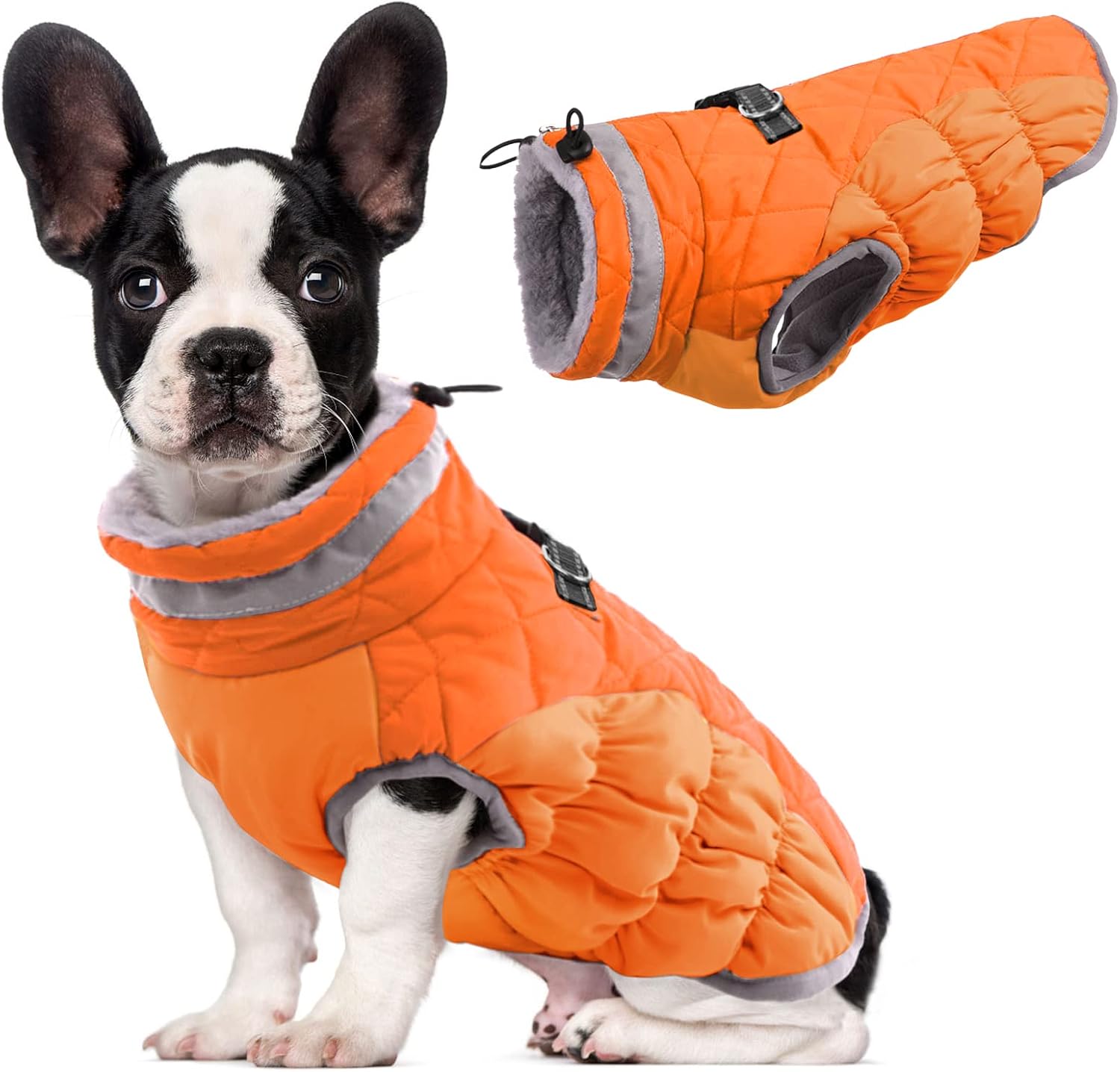 Lelepet Dog Coat Warm Waterproof Jacket for Medium Dogs