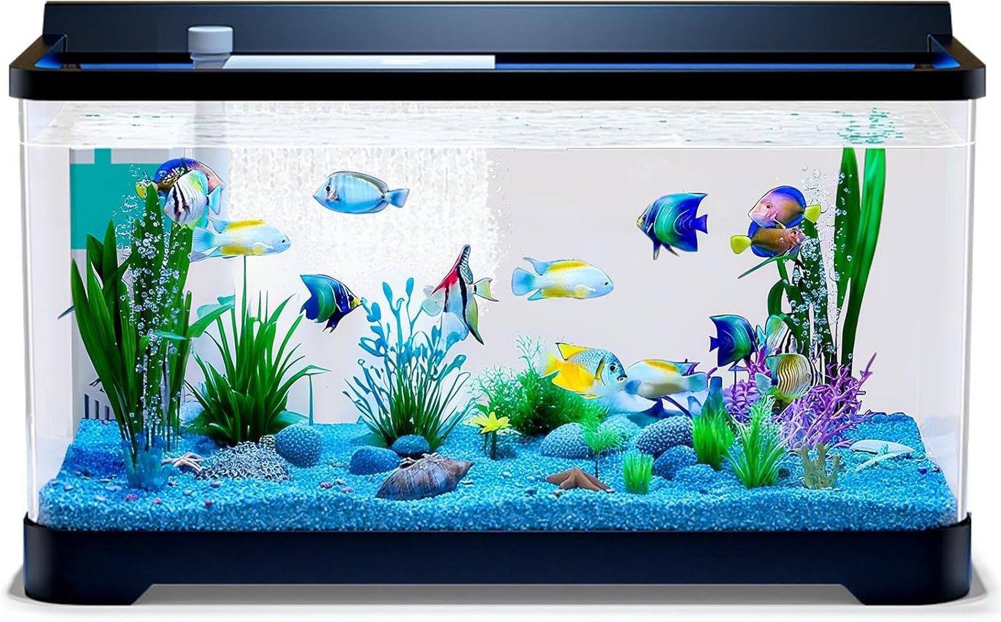 LED Aquarium Fish Tank Kit with Light, Filter, and Plants