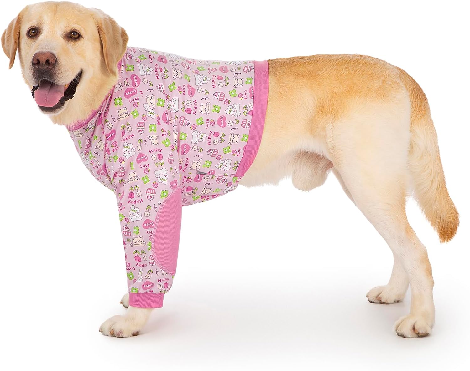 Dog Recovery Sleeve: Heal Elbows Fast!