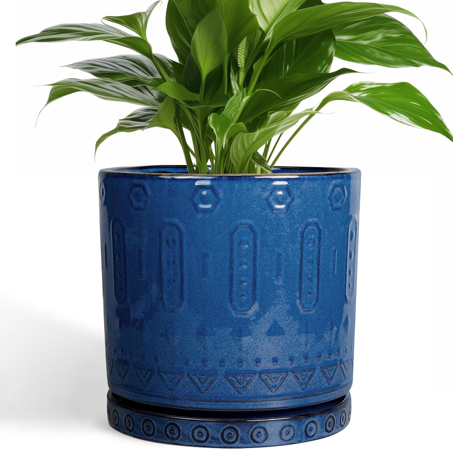 Stylish 8 Inch Ceramic Planter with Drainage Holes for Home Decor