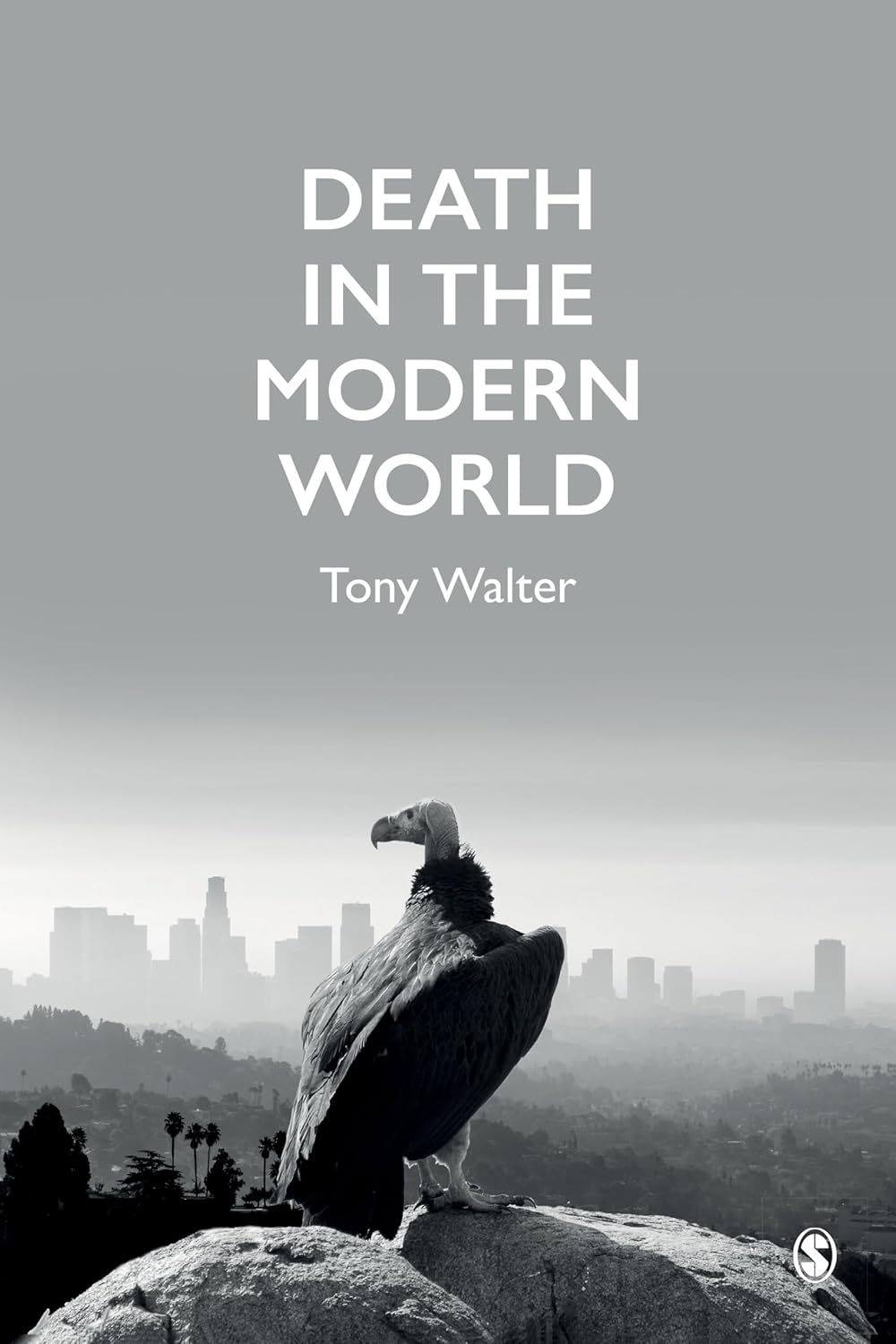 Death in the Modern World: Understanding Contemporary Perspectives