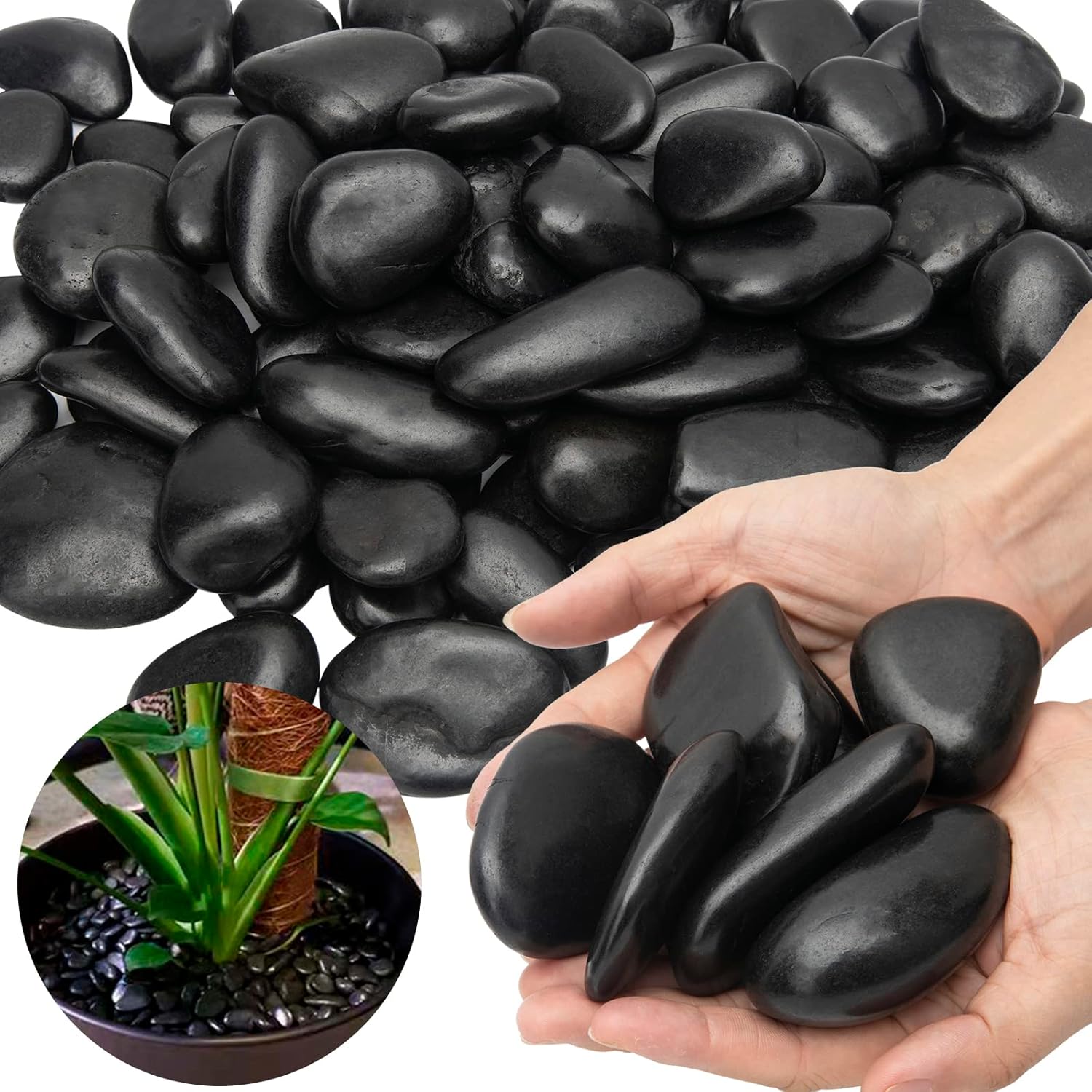Large Polished Black Pebbles for Plants & Garden Decor 15lb