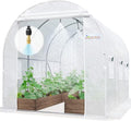 10x6.6x6.6FT Greenhouse for Outdoors - Large Walk-in Shelter