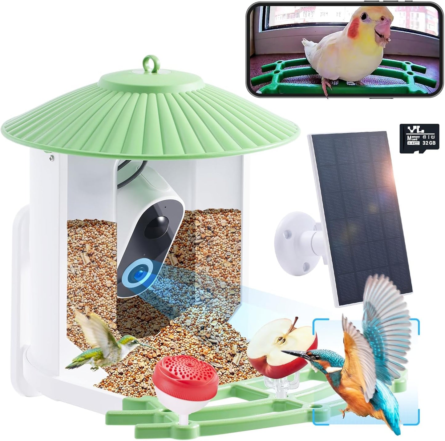 AI Bird Feeder: Capture Live Birds Instantly